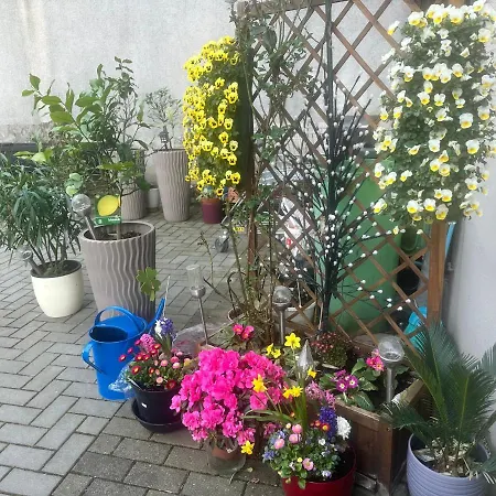 Kaethe-kollwitz - Strasse 54, F3 Apartment
