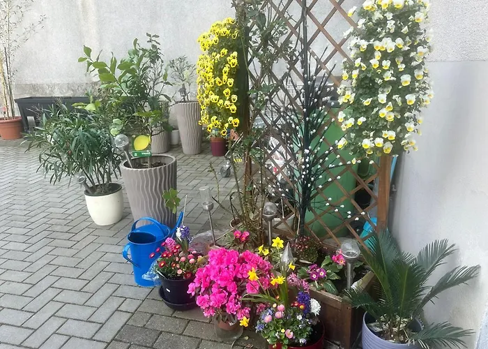 Kaethe-kollwitz - Strasse 54, F3 Appartement